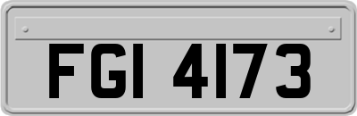 FGI4173