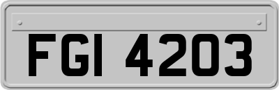 FGI4203