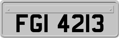FGI4213