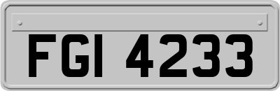 FGI4233