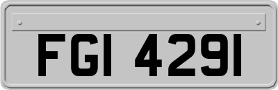 FGI4291