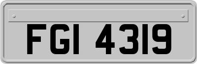 FGI4319
