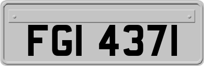 FGI4371