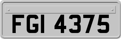 FGI4375