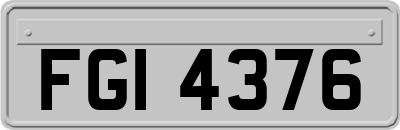FGI4376