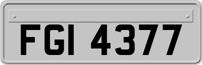 FGI4377