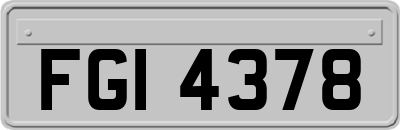 FGI4378
