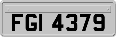 FGI4379