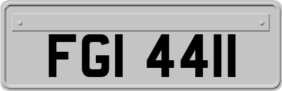 FGI4411