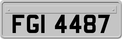 FGI4487