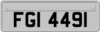 FGI4491