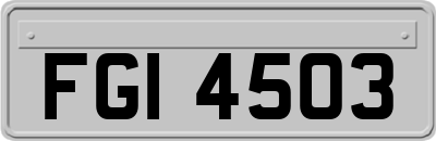 FGI4503