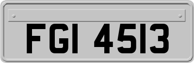 FGI4513