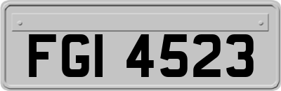 FGI4523