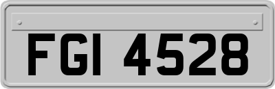 FGI4528
