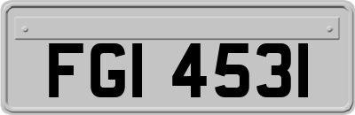 FGI4531