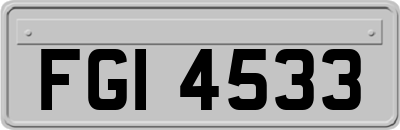 FGI4533