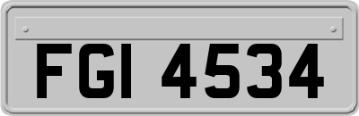 FGI4534