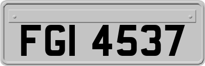FGI4537