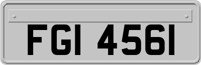FGI4561