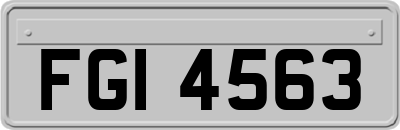 FGI4563