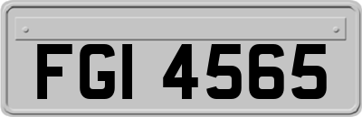 FGI4565