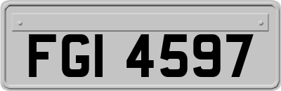 FGI4597