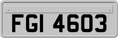 FGI4603