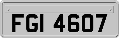 FGI4607