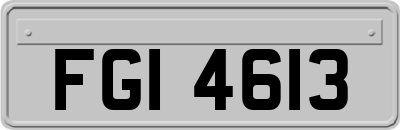 FGI4613