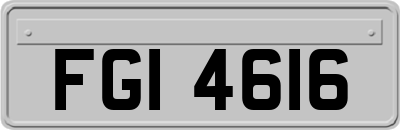 FGI4616