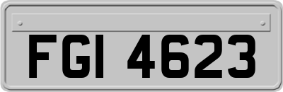 FGI4623
