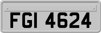 FGI4624