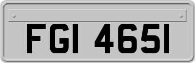 FGI4651