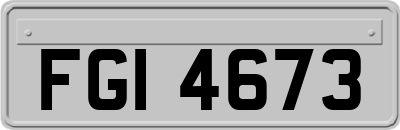 FGI4673