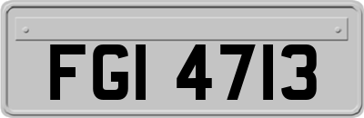 FGI4713