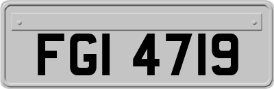 FGI4719