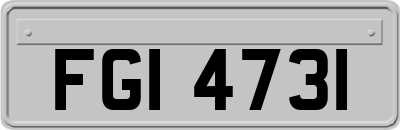 FGI4731