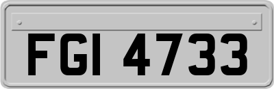 FGI4733