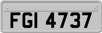 FGI4737