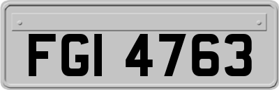 FGI4763