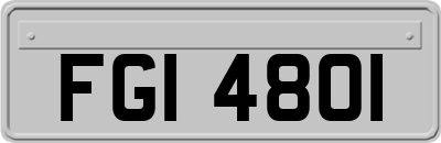 FGI4801