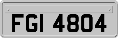 FGI4804