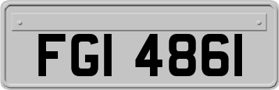 FGI4861
