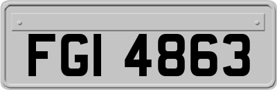 FGI4863