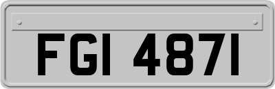 FGI4871