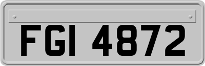 FGI4872