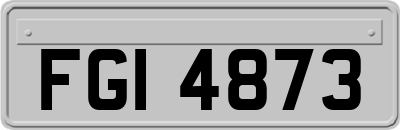 FGI4873