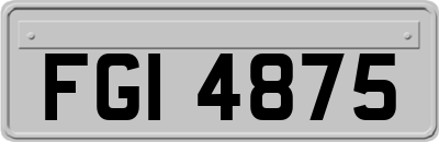 FGI4875