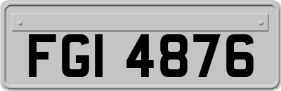 FGI4876